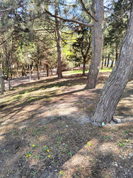 Similar image 22445692