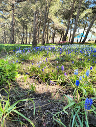 Similar image 22445693