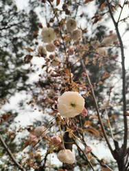 Similar image 22445697