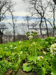 Similar image 22445699