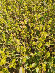 Similar image 22445702