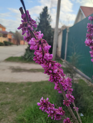 Similar image 22445703