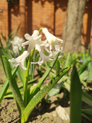 Similar image 22445705