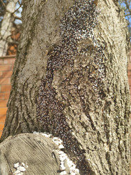 Similar image 22445714