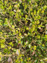 Similar image 22445715