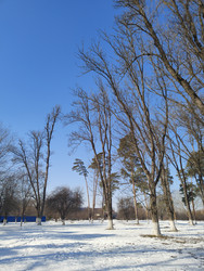 Similar image 22445718