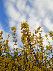 Similar image 22445719