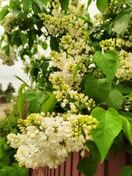 Similar image 22445720