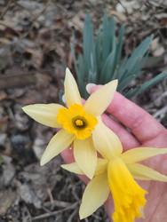 Similar image 22445721