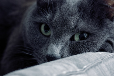 Similar image 22456418