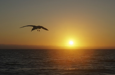 Similar image 22452276