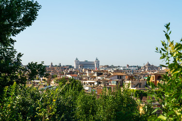 Similar image 22446011