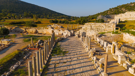 Similar image 22446022