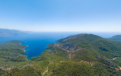 Similar image 22446037