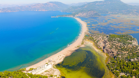 Similar image 22446084