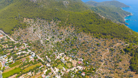 Similar image 22446094