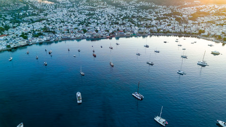 Similar image 22446102