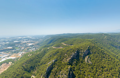 Similar image 22446137