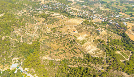 Similar image 22446165