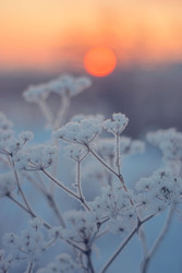 Similar image 22456419