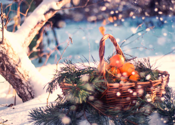 Similar image 22454564