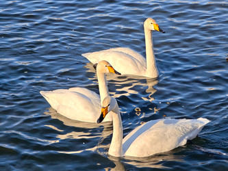 Similar image 22469463