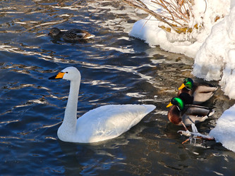 Similar image 22469605