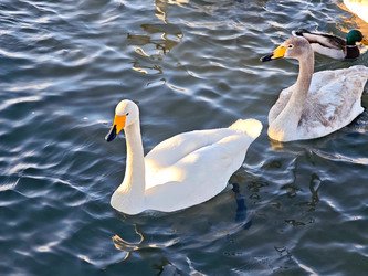 Similar image 22469607