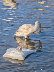 Similar image 22469608