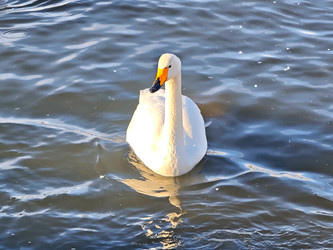 Similar image 22469609