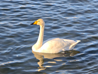 Similar image 22469610