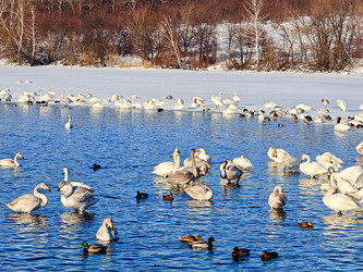 Similar image 22469611