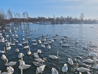 Similar image 22469612