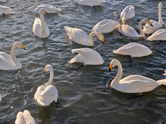 Similar image 22469613