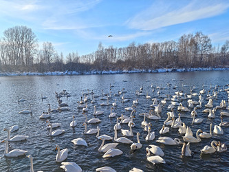 Similar image 22469614