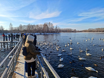 Similar image 22469621