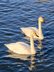 Similar image 22469625