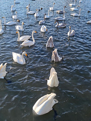 Similar image 22469626