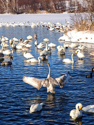 Similar image 22469627