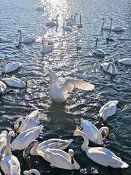 Similar image 22469628