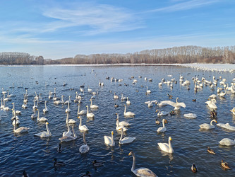 Similar image 22469629