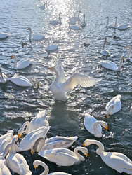 Similar image 22469631