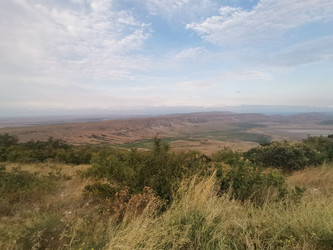 Similar image 22452279