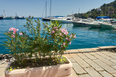 Similar image 22445555