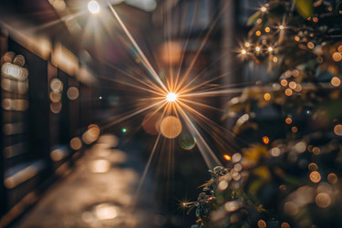 Similar image 22445816