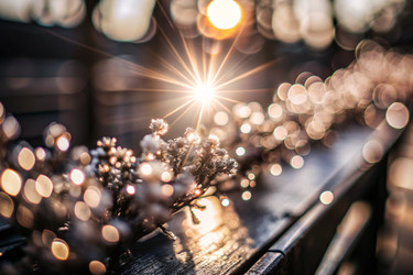 Similar image 22445820