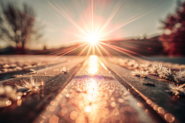 Similar image 22445821