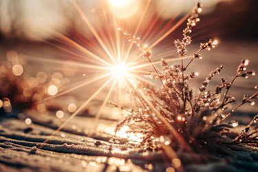 Similar image 22445847