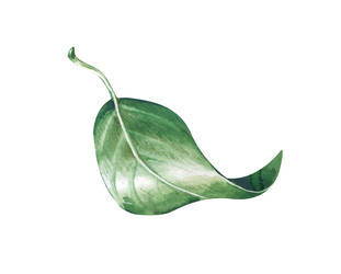 Similar image 22460674