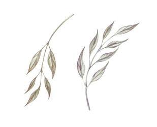 Similar image 22460675